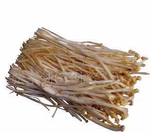 点亮城市之美 路灯、景观灯与庭院灯的照明艺术