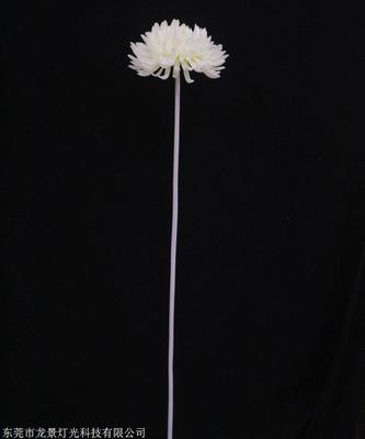 LED景观灯 点亮城市夜晚的艺术与科技